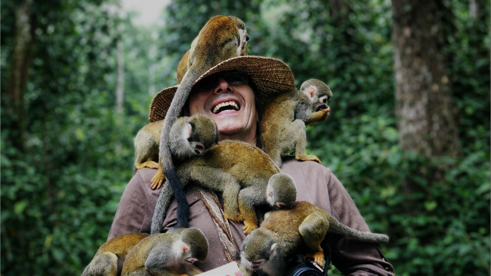 bgPrancheta_4-100_optimized_600