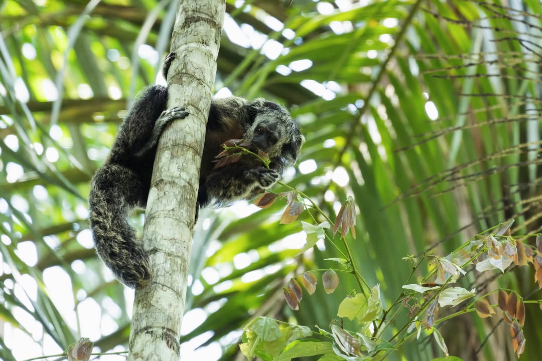 651273492_18573141631027887_553635488662