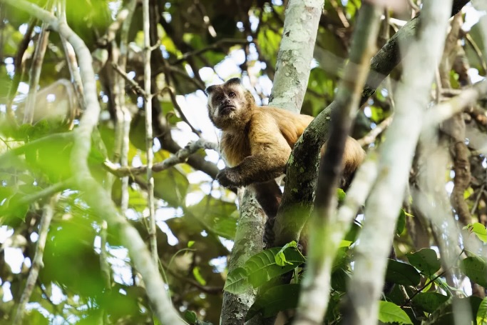 651404129_18573141622027887_506386746209