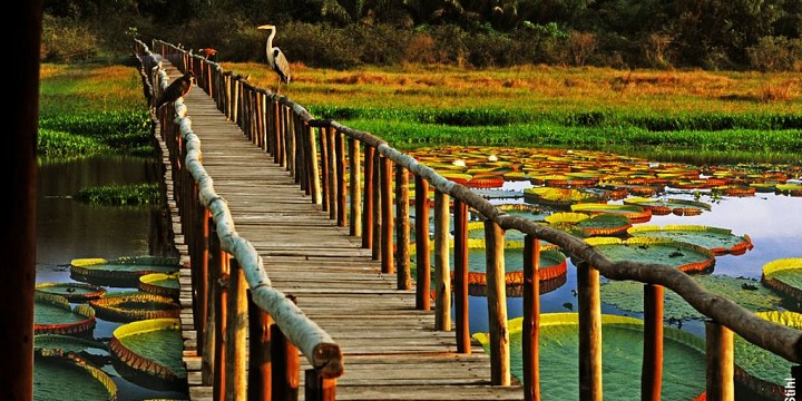 imagem_2026-04-10_023113751