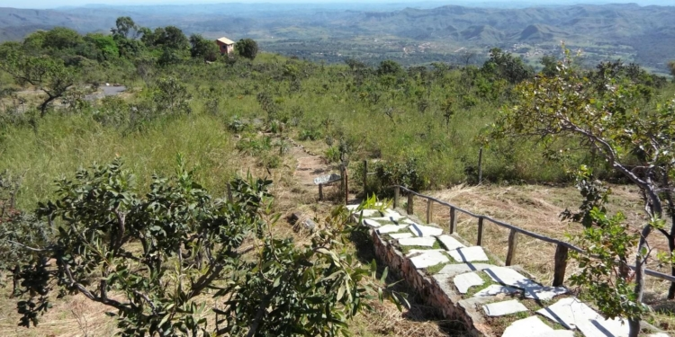 imagem_2026-04-10_023851396