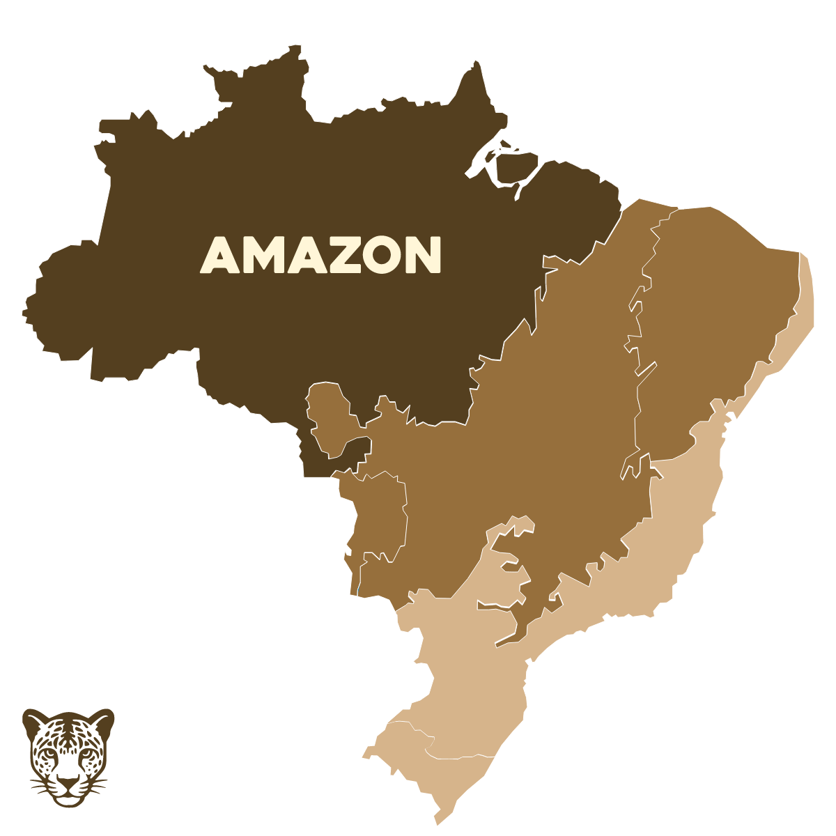 mapa-amazonia 1