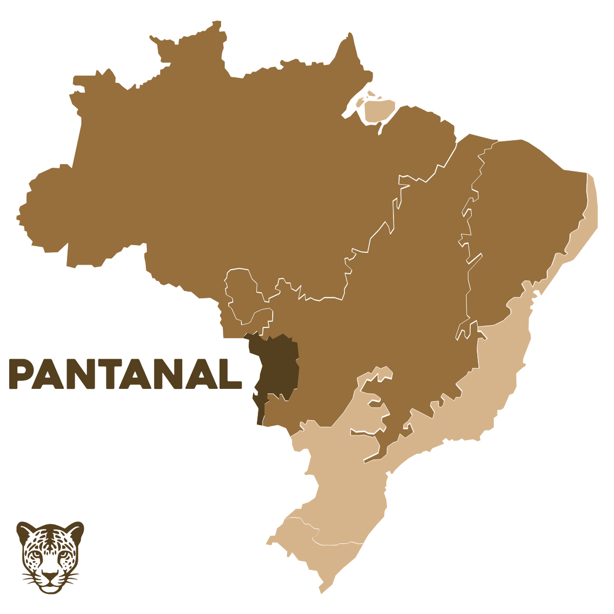 mapa-pantanal 1 (1)